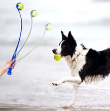 Load image into Gallery viewer, Fetch Stick